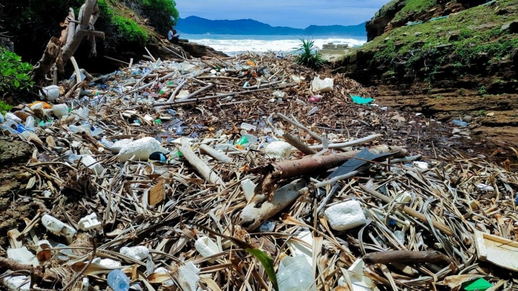 picture of a littered beach